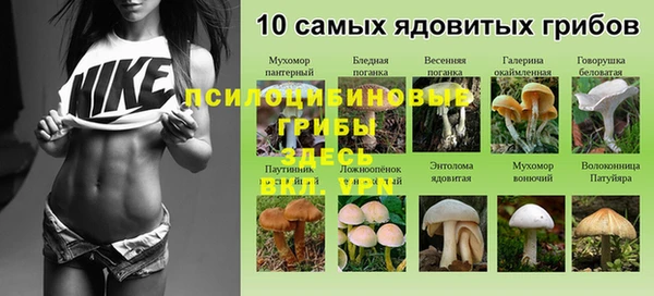 соль курить ск Аркадак