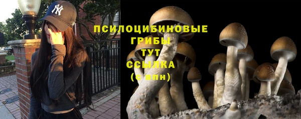 трава Арсеньев